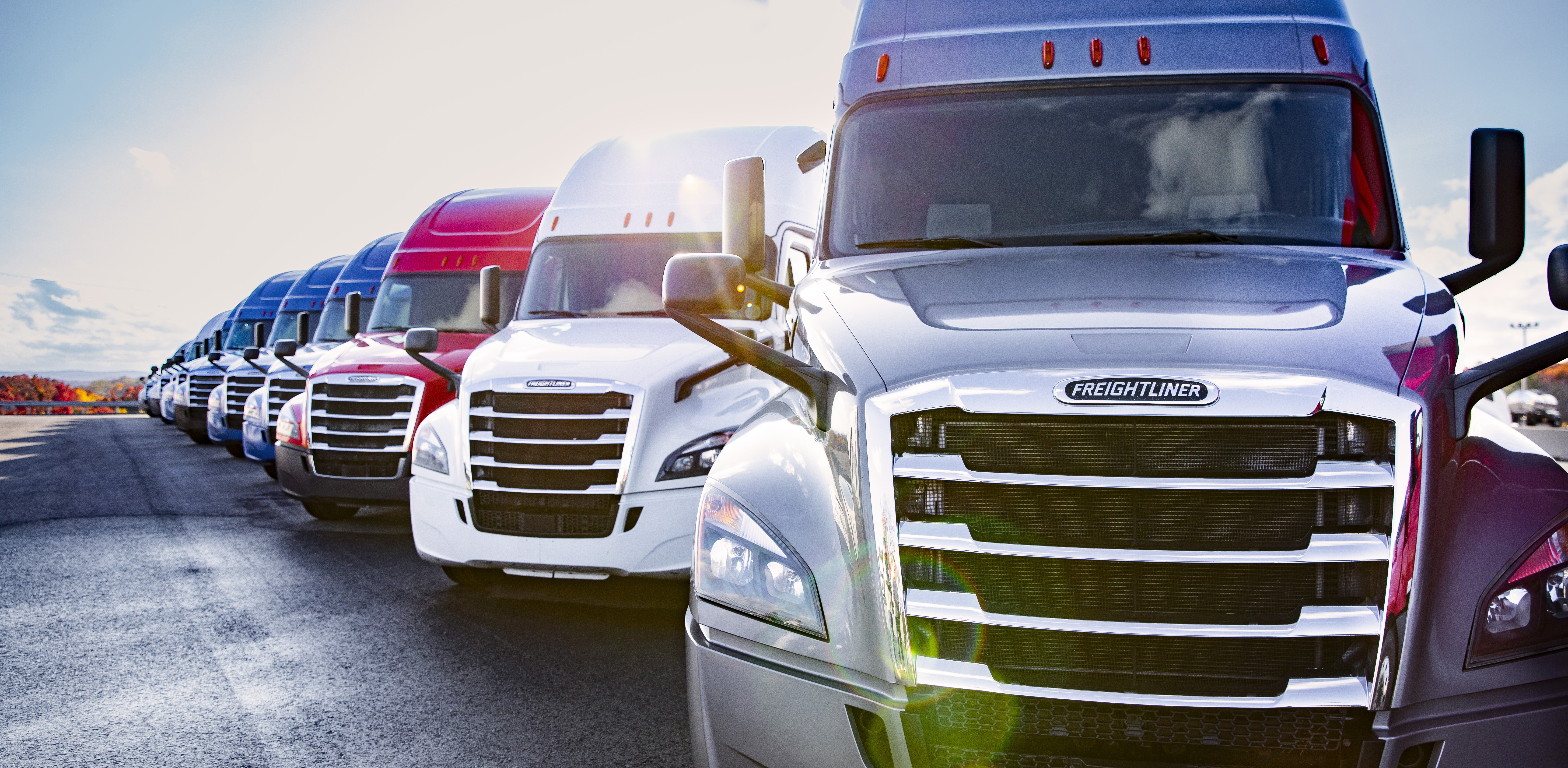 Promotion section Image